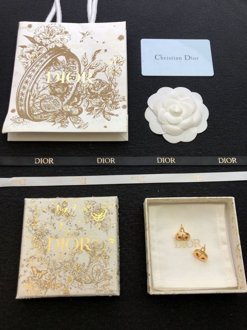 Christian Dior Earrings